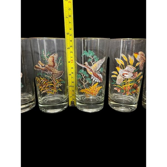 Mid Century West Virginia Glass Game Bird Highball Glasses Gold Rim - 6 - Picture 4 of 4